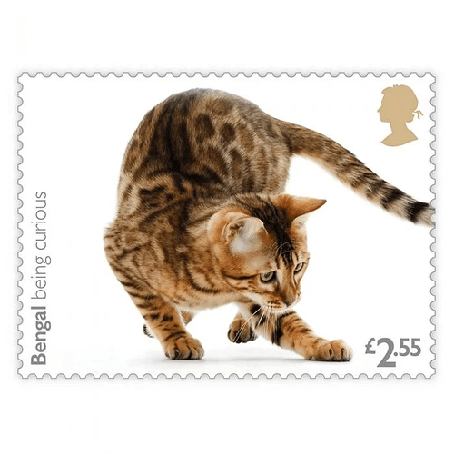 royalmail-8-cats-stamp-set_1