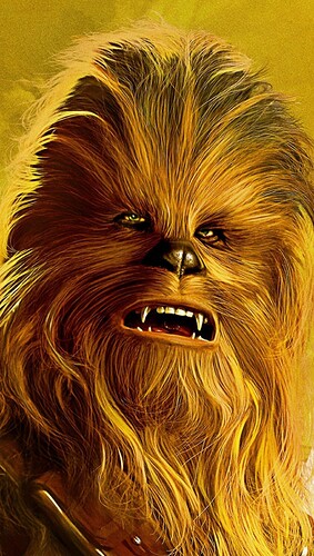 chewbacca-de-star-wars-4530-3851020828
