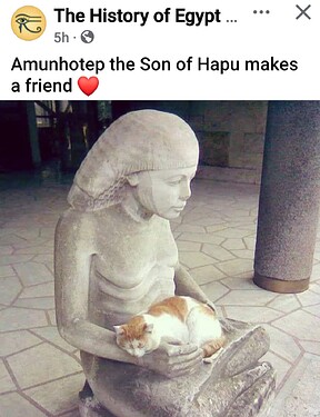 amunhotep cat