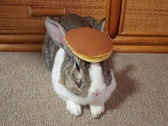 bunny pancake