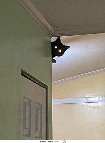 laser-eyes9175