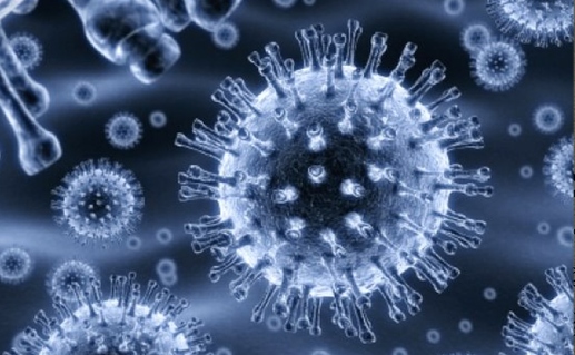 h1n1-virus