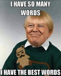 trump%20words