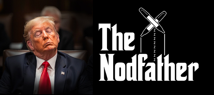 The-Nodfather-02