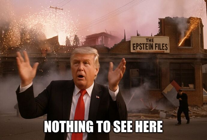 TRUMP--NOTHING TO SEE IN THE EPSTEIN FILES!