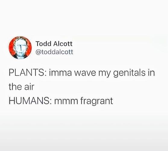 495760376_674294781902309_8537986740178399555_n