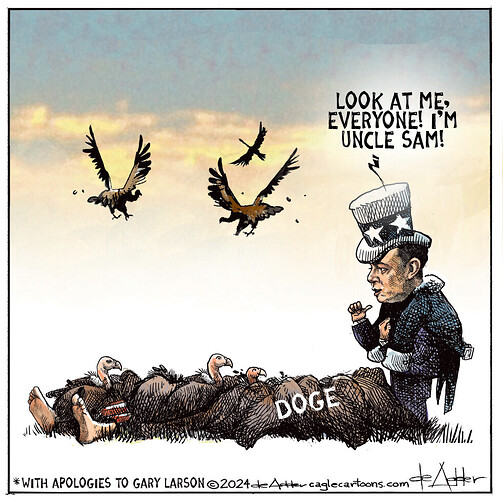 -elon-musk-and-doge-are-vultures