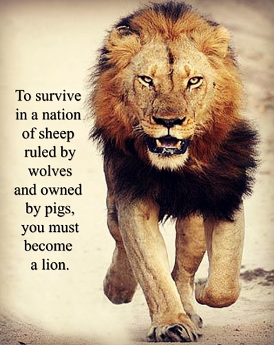 Lion-Survival
