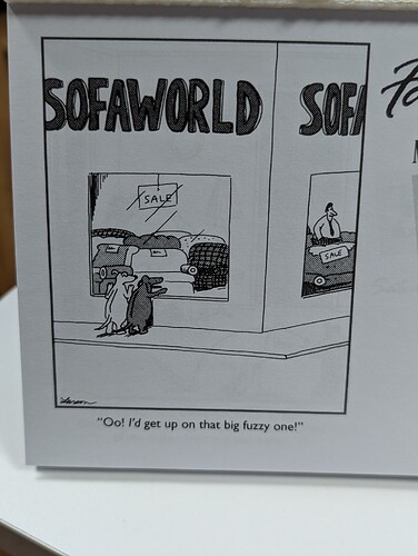 PXL_20251121_153513776