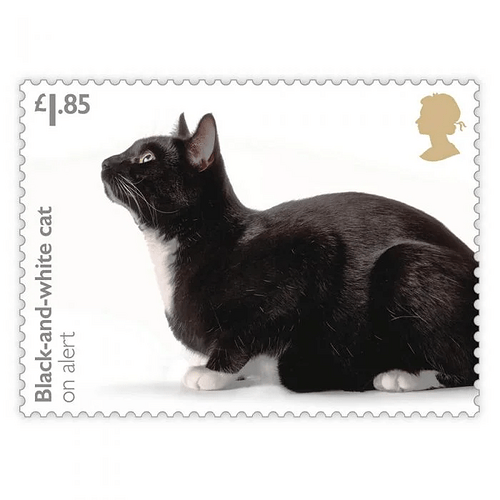 royalmail-7-cats-stamp-set_1
