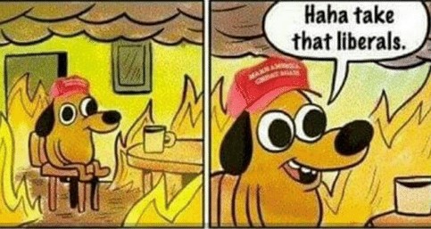 haha-take-that-liberals-you-set-your-own-house-on-13781135