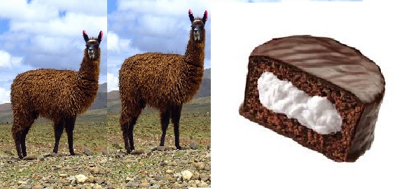 Llama-Ding