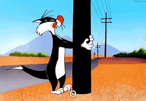 fml-sylvester