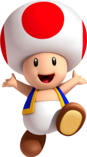 Toad_3D_Land