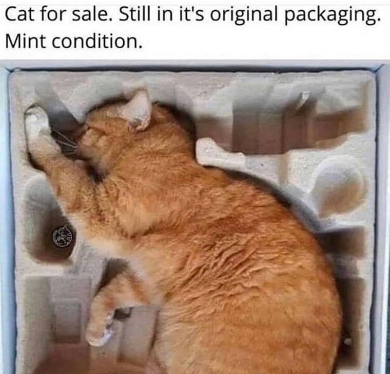 265178330_4599786360058999_3704979885829151315_n