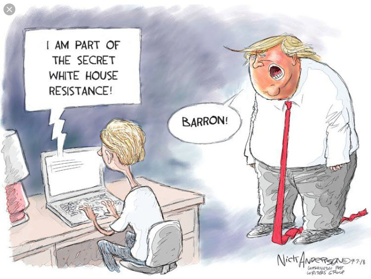 trump never read the constitution trump never read the constitution