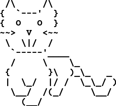 ascii cat