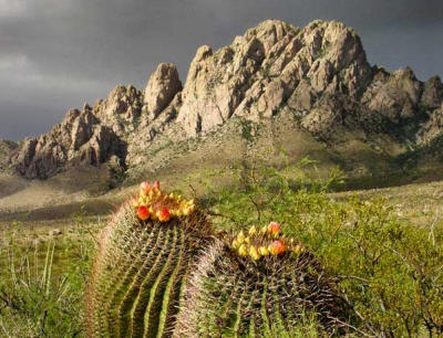OrganMountains-400x306