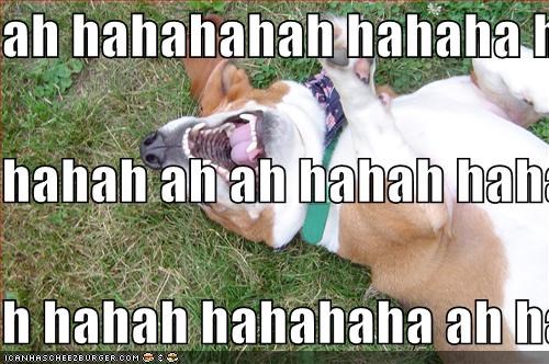 ah-hahahahah-hahaha-haha-hahah-ah-ah-hahah-hahahaha-h-hahah-hahahaha-ah-hahaha