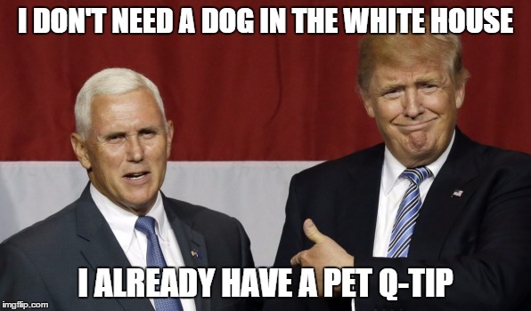 pence%20q-tip