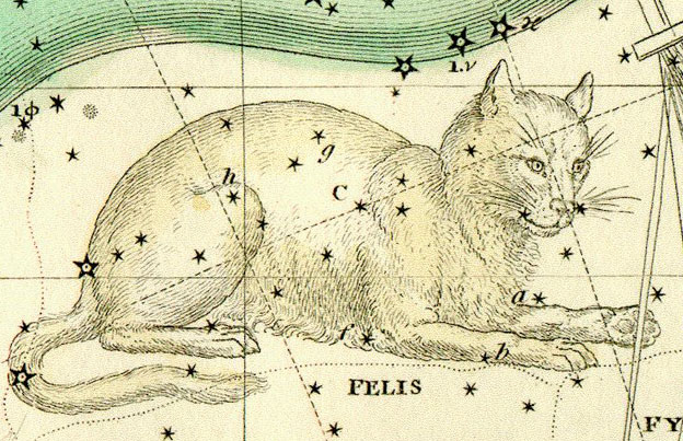 felis_cat_constellation_large-3312607939