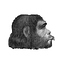 Avatar for hummus_neanderthalensis