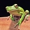 rosemcfrog